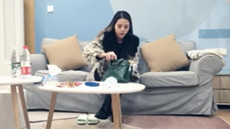 ██ 七港猫 两个在校大学生放假期间直播~收费道具自慰 图 37