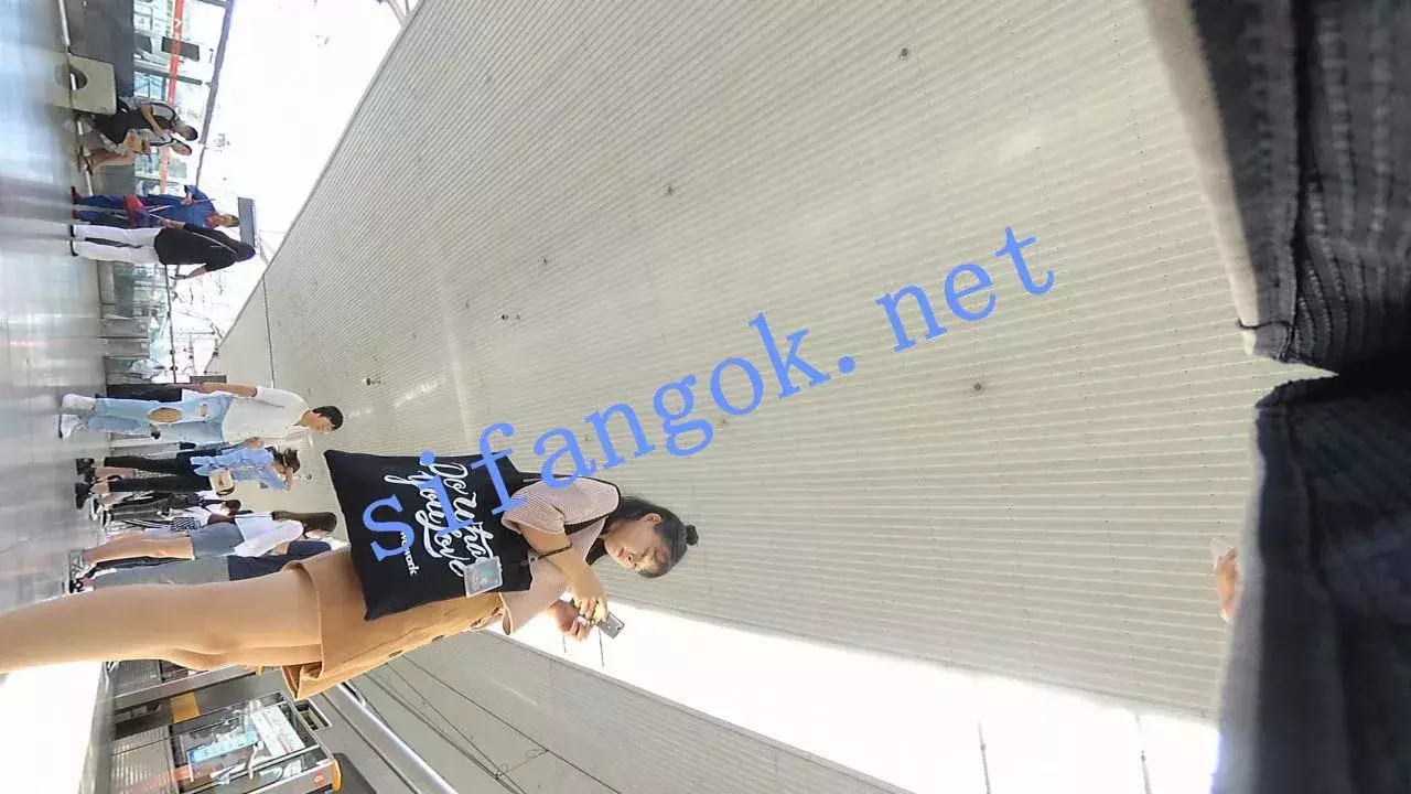 ✅ 机场大师级系列 街拍抄底各种极品美女小姐姐大合集 图 25