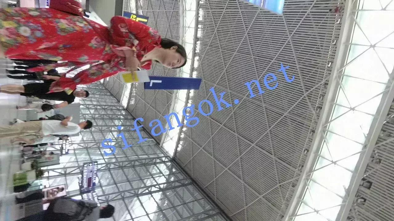 ✅ 机场大师级系列 街拍抄底各种极品美女小姐姐大合集 图 15