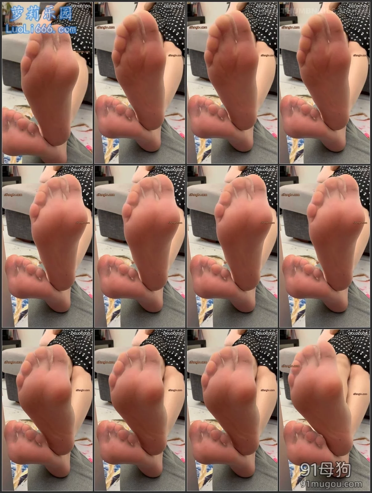 良家泄密 之5套丝袜美脚视频+套图合集 图 24